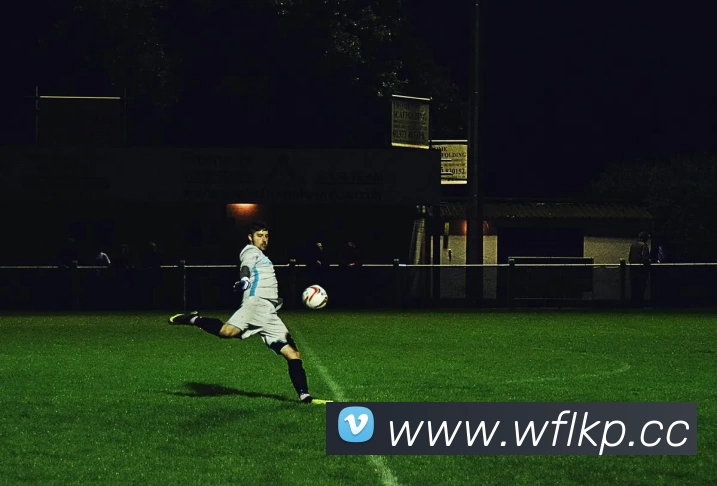 多媒体互动体验